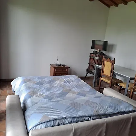 Chicco Di Grano Foiano Della Chiana