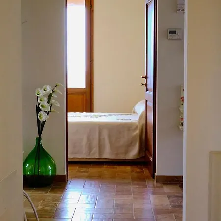 Chicco Di Grano * Foiano Della Chiana