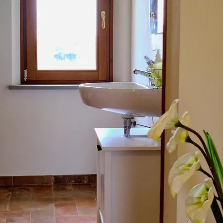 Chicco Di Grano Foiano Della Chiana