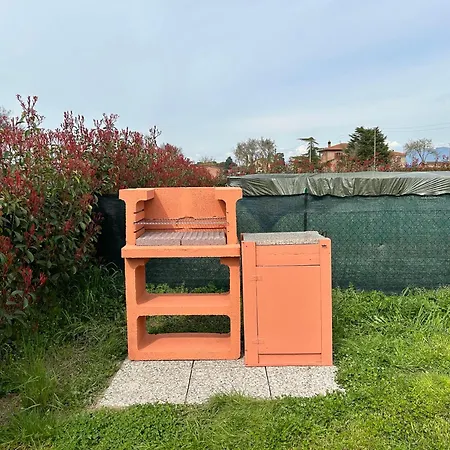 Chicco Di Grano * Foiano Della Chiana